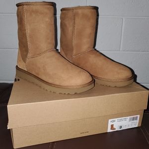 Womens Short Ugg boots